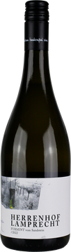 Foto Furmint vom Sandstein 2022