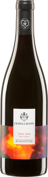 Pinot Noir Ried Siglos