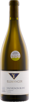 Fumé blanc Sauvignon blanc "Junges Schwaben"