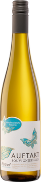 AUFTAKT Souvignier Gris