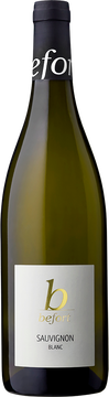 Sauvignon Blanc