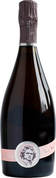 Pinot Nóir Rosé Brut
Waldbeeren-Auftakt, dann zart rauchig-karamellige Noten. Elegante Farbe, schön durchkomponiert mit feiner Perlage, im Finale mit kandierter Frucht.