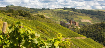 Weingut Lanius-Knab