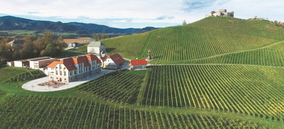 Weingut Burg Taggenbrunn