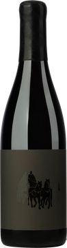 Der aussergewöhnliche Rotwein zeichnet sich durch einen konzentrierten, frischen Fruchtausdruck aus und begeistert mit seiner komplexen Aromatik. Er verfügt über straffe Tannine, eine spritzige Säure und dichte und präsente Gerbstoffe. Sein Geschmack ist «grünlich» mit einer dezenten Efeu-Aromatik. Ein mächtiger, langlebiger Wein mit einem grossen Lagerpotenzial.