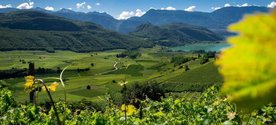 Cantina Kaltern