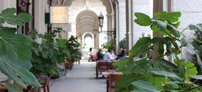 Vino Wien