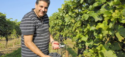 Weingut 47er Schwertführer