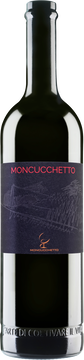 Moncucchetto