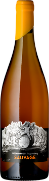 Orange Wein mit sauberer Substanz und Profil.