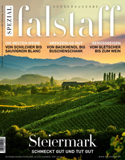 Steiermark Special Nr.1/2020