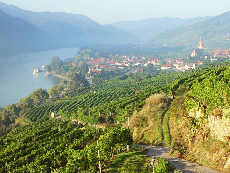In der Wachau ist die Dichte an Top Winzern so groß wie nirgendwo sonst in Österreich.