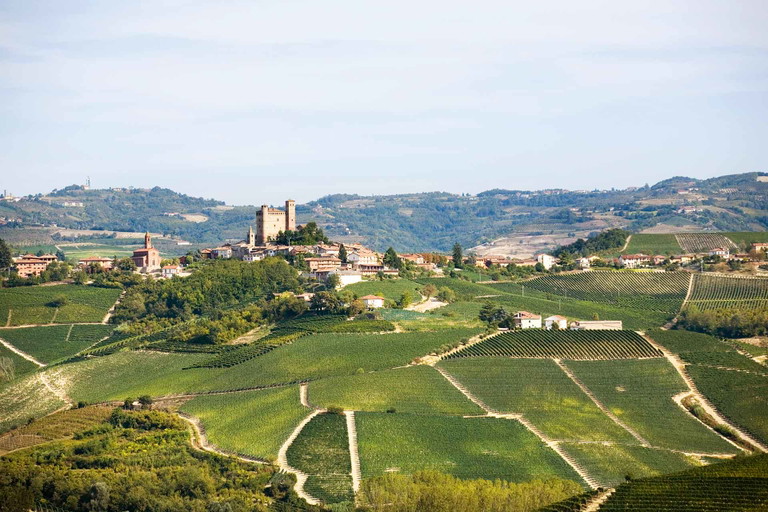 Serralunga: Von hier kommen die tanninreichsten und lang­lebigsten Barolos.
