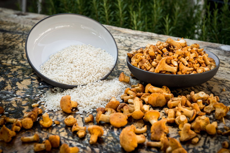 Ein simples Eierschwammerl-Risotto ist der perfekte Begleiter für die üppige Köstlichkeit.