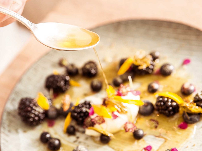 Innovative Küche: »Wild­beere« mit karamellisiertem Milcheis und Fichtenhonig.