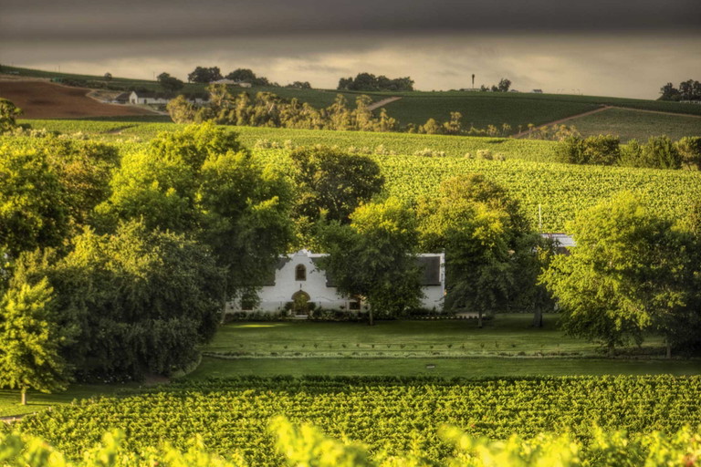 Das Weingut Rust en Vrede ist ein echter Klassiker und für jeden Besucher ein Pflichttermin.
