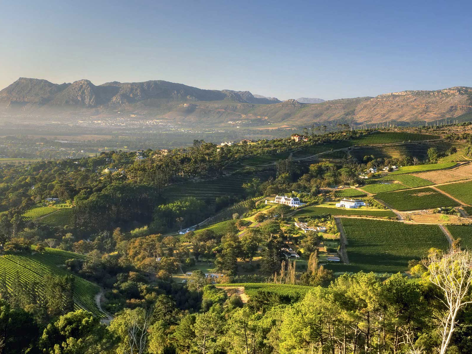 Die pittoreske Weinlandschaft bei Constantia Glen in Constantia. Hier im Süden von Kapstadt nahm der südafrikanische Weinbau seinen Anfang.