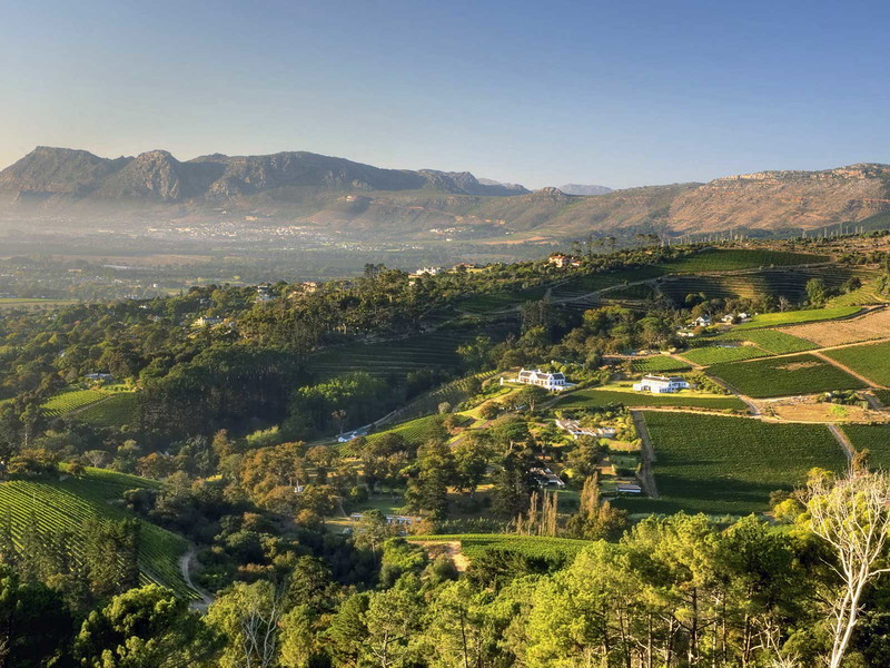 Die pittoreske Weinlandschaft bei Constantia Glen in Constantia. Hier im Süden von Kapstadt nahm der südafrikanische Weinbau seinen Anfang.