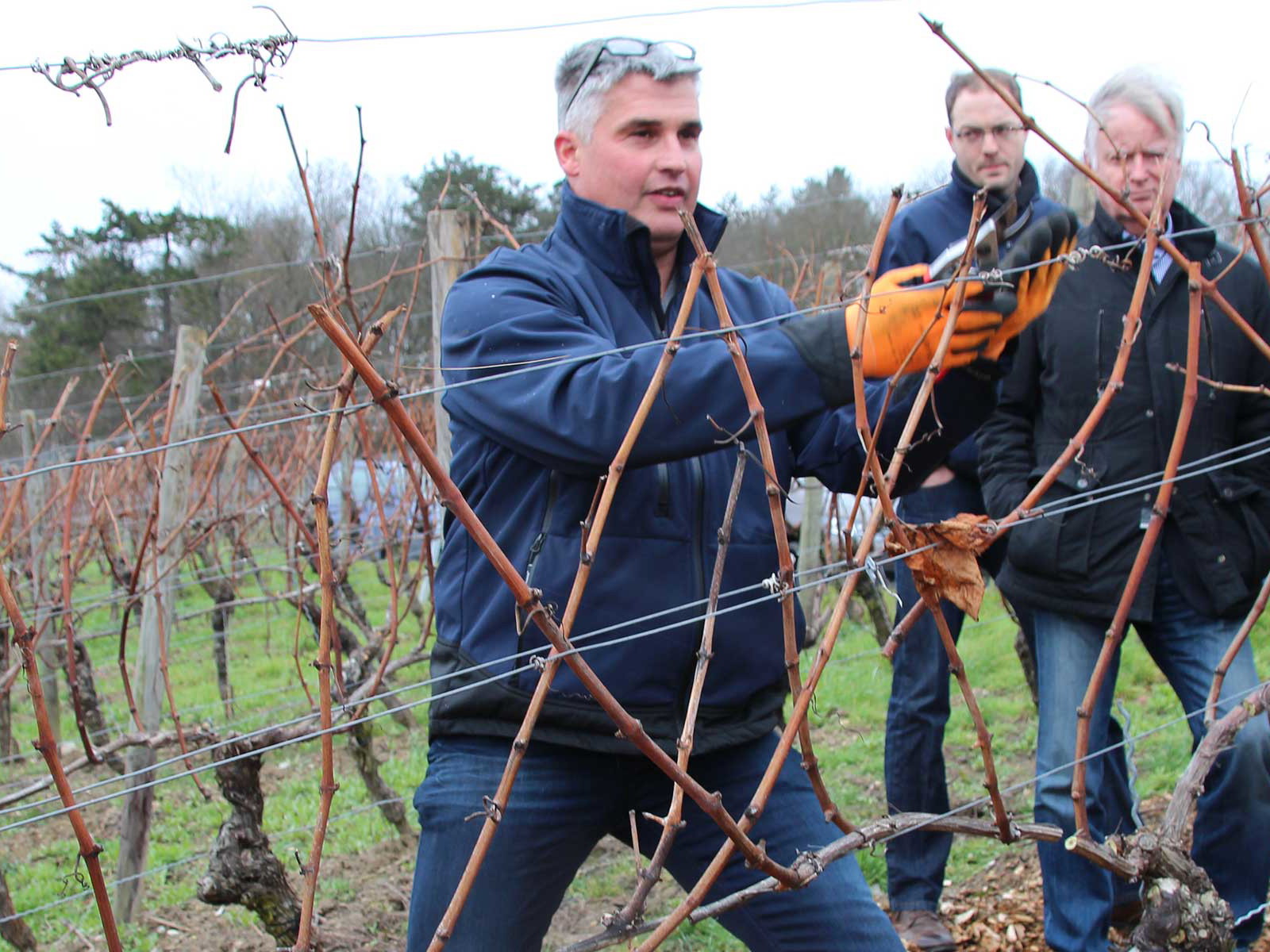 Der sächsische Mater of Wine Janek Schumann (li) schaut Weinbergmeister Peter Rudloff interessiert zu.