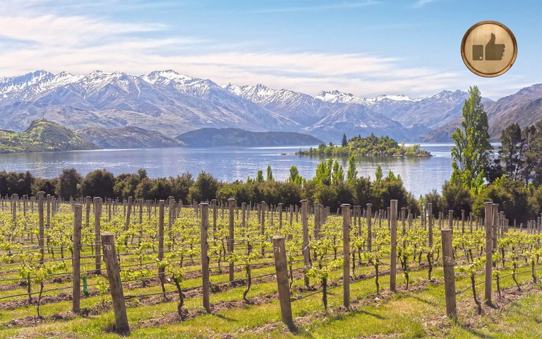Ein kühler Frühling sorgte in Neuseeland für ein Mengen-Minus.