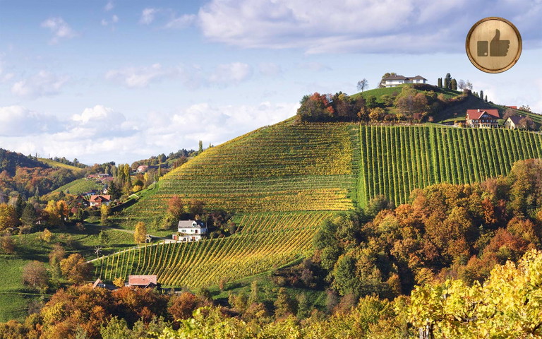 Nicht nur in der Steiermark freuen sich die Winzer über den kraftvollen Jahrgang 2015.