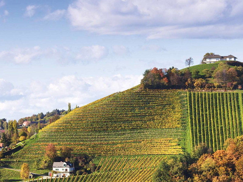Nicht nur in der Steiermark freuen sich die Winzer über den kraftvollen Jahrgang 2015.