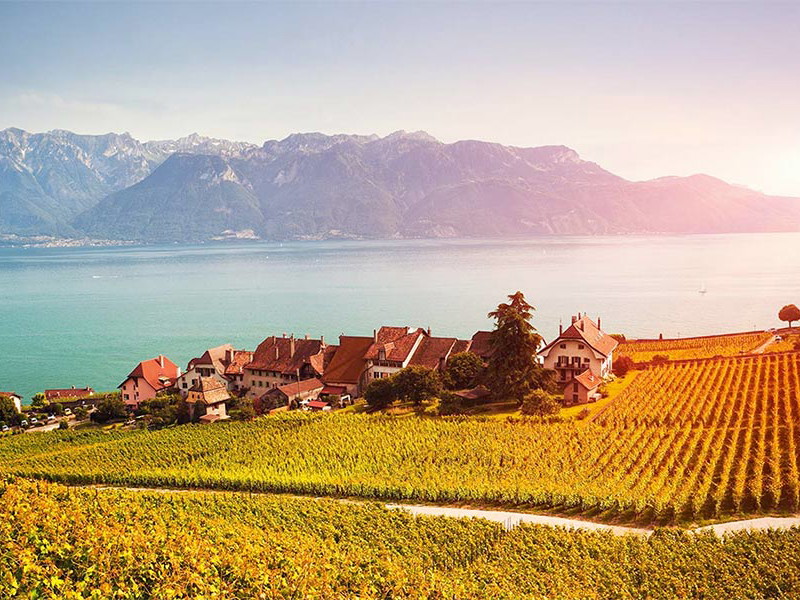 Weinberge am Genfersee: Die Schweiz darf sich über einen schönen Jahrgang 2015 freuen.