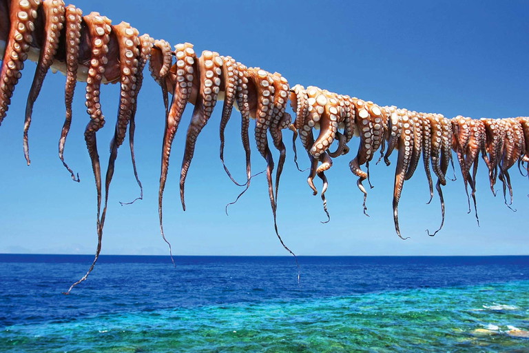Auch Oktopus gilt als kroatische Delikatesse.
