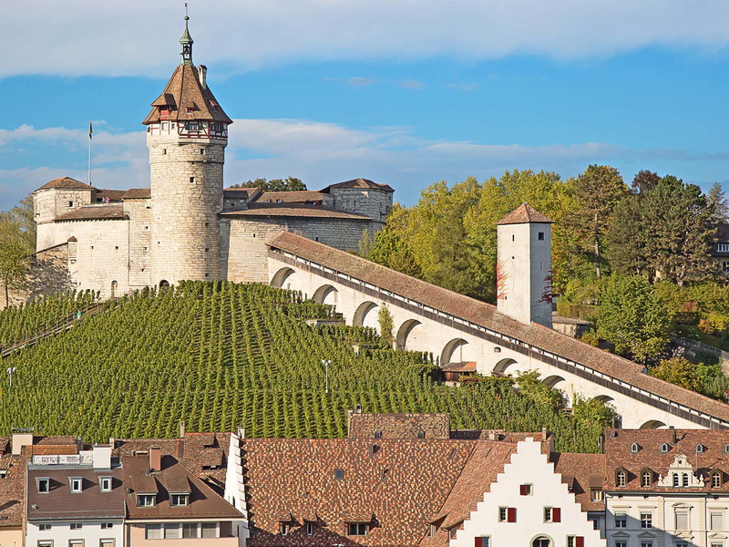 Burg Munot inmitten der Weinberge in Schaffhausen