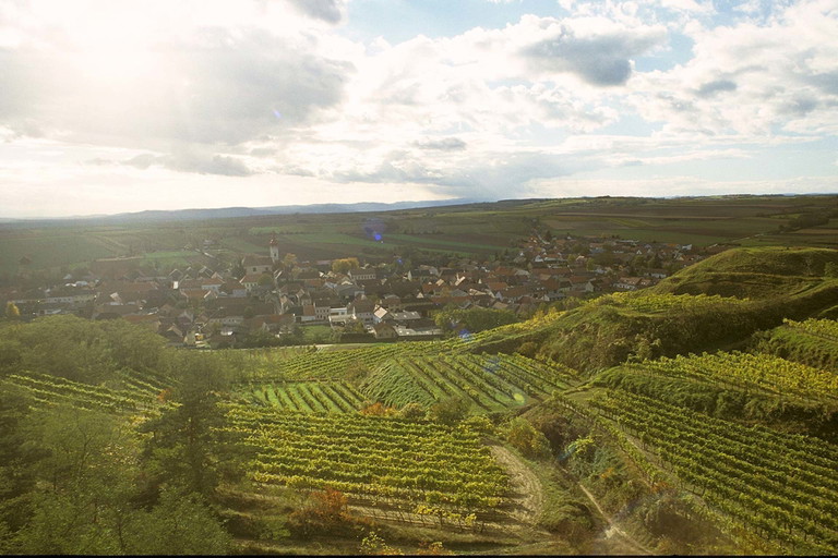 Großriedenthal am nördlichen Wagram