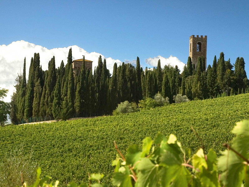 Rund um das Kloster von Passignano wachsen die Reben für Marchesi Antinoris Weine.