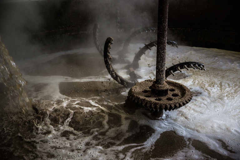 Whiskyerzeugung bei Bruichladdich: Beim Maischen wird Malzzucker aus dem Schrot ausgewaschen - eine zuckerhaltige Würze entsteht.