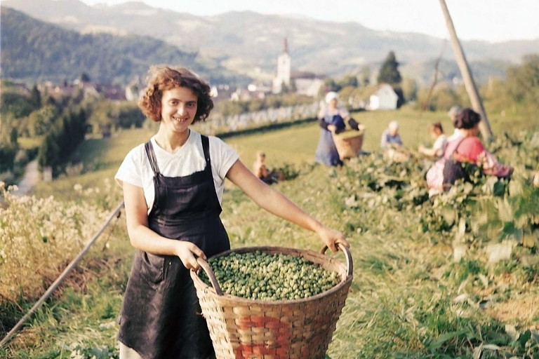 Hopfenernte anno dazumal: seit 1858 wird in Zipf erfolgreich Bier gebraut.