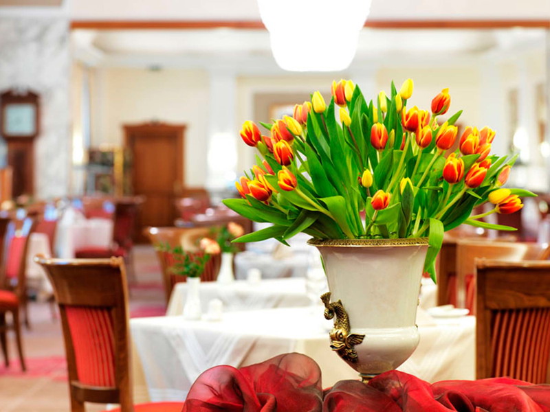 Schick Hotel Stefanie in Wien