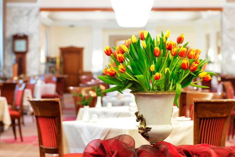 Schick Hotel Stefanie in Wien