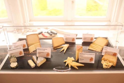 Verführerische Geschmacksvielfalt von österreichischem Käse.