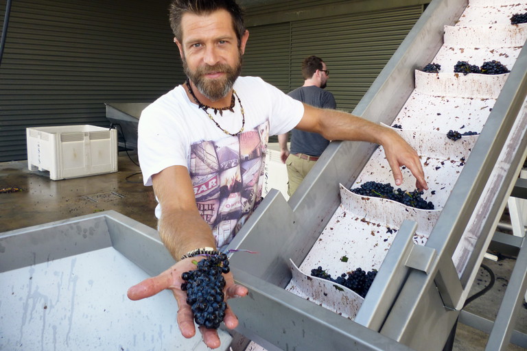 Shaw and Smith: reife Pinot-Noir-Trauben.