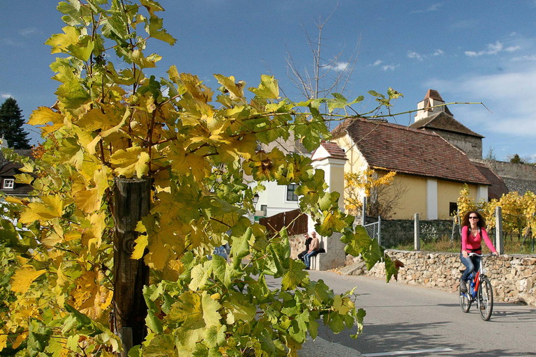 Verbinden Sie das Kellergassenfest mit einer kleinen Radtour in der Wachau.