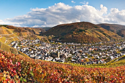 Schönste Weinsicht Ahr 2016Vom Sonderberg auf Dernau und seine Steillagen, Dernau