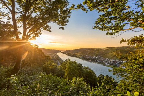 Schönste Weinsicht Mittelrhein 2016Mittelrheintal und Weinlagen von Leutesdorf, Andernach