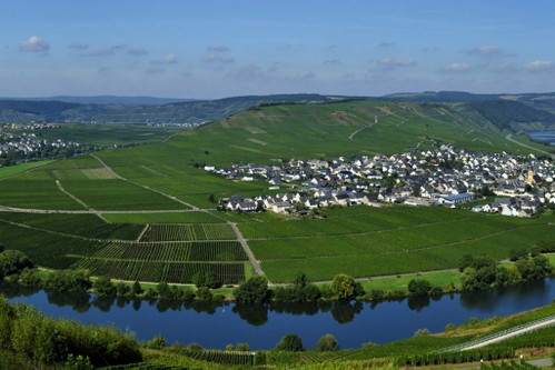 Schönste Weinsicht Mosel 2016Von der Zummethöhe auf die Moselschleife bei Leiwen und Trittenheim, Leiwen