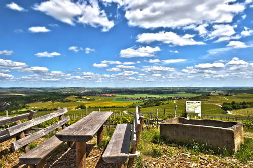 Schönste Weinsicht Rheinhessen 2016Von der Winzeralm auf Siefersheimer Lagen und rheinhessisches Hügelland, Siefersheim