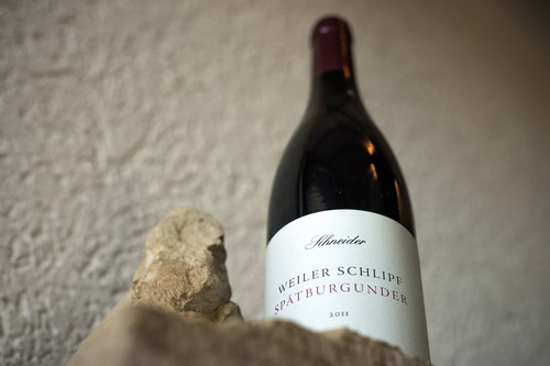 Der Kalkboden des Weilers Schlipf ist ideal für die Burgunder-Sorten.
