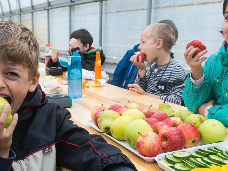 Verkostung bei der AMA Obst- und Gemüse-Rallye.
