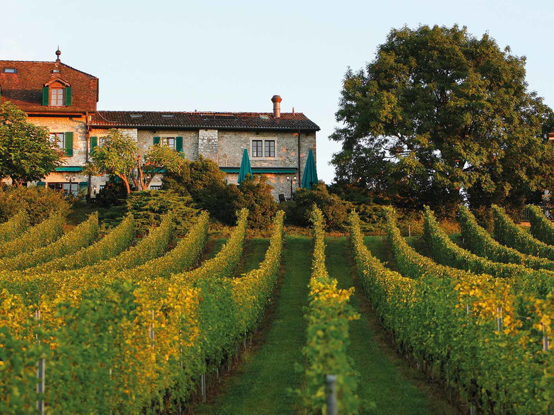 »Domaine de Château­vieux«: Sternerestaurant von Philippe Chevrier in den Weinbergen oberhalb der Domaine des Balisiers.
