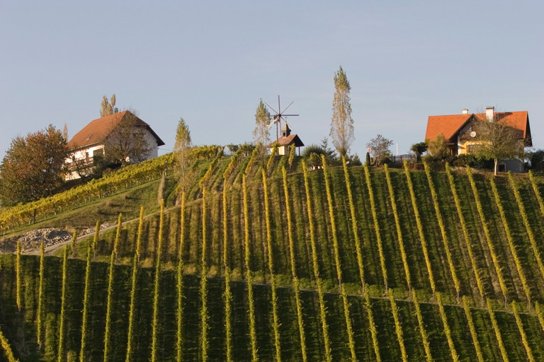 Tafeln an der Südsteirischen Weinstraße.