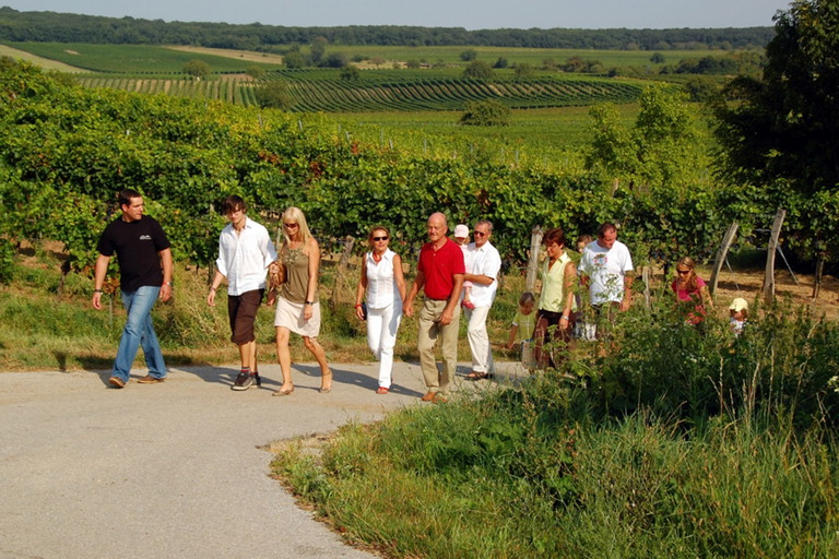 Weinwanderung in Jois - vom Wasser zum Wein.