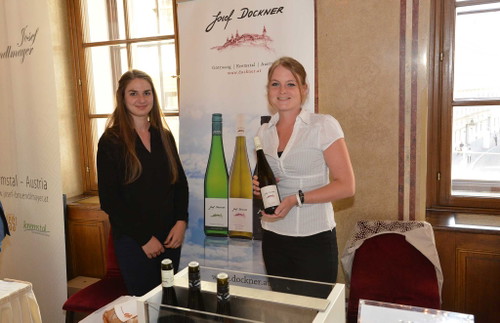 Winzerhof Familie Dockner, Kremstal