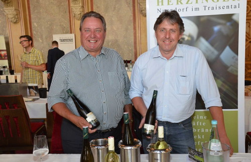 Weingut Herzinger, Traisental