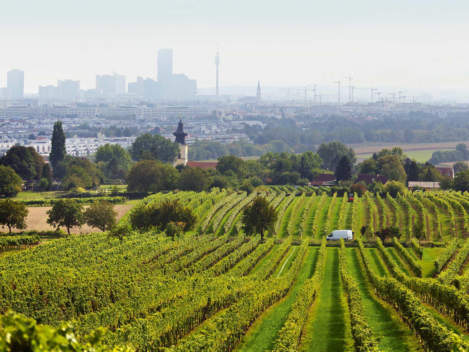 Wien zu Füßen: Blick vom Bisamberg über die Weingärten von Stammersdorf.